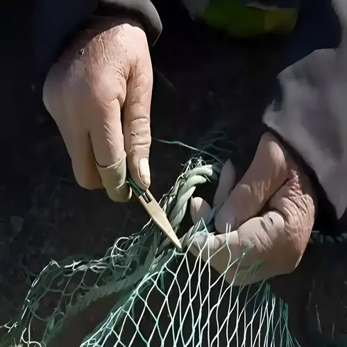 Services Balcony Safety Nets in Kadapa, Kurnool, Anantapur