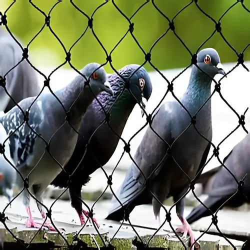 Home premium quality pigeon safety nets ultimate netting