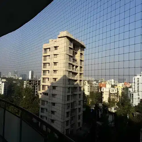 Best Premium Pigeon Netting Service in Hyderabad