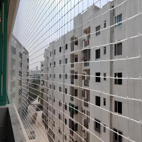 Premium Bird Netting Service in Hyderabad